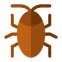 Cockroach pest control services