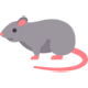 Rat Control services