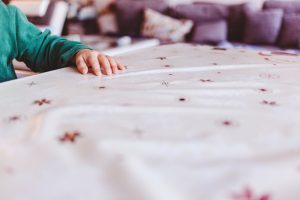 Spotting and Preventing Bed Bugs: Strategies for a Bed Bug-Free Toronto Home