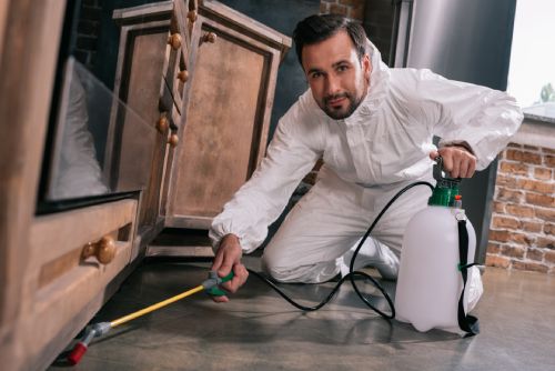 exterminator spraying under cabinets