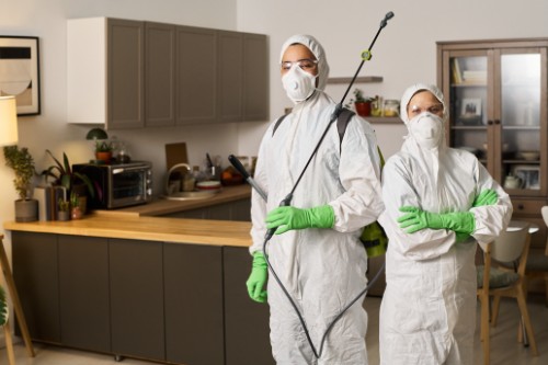PCO pest control operators