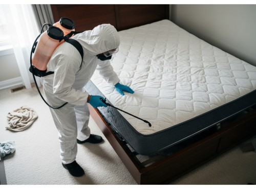 A pest control professional treating a mattress for bed bugs.