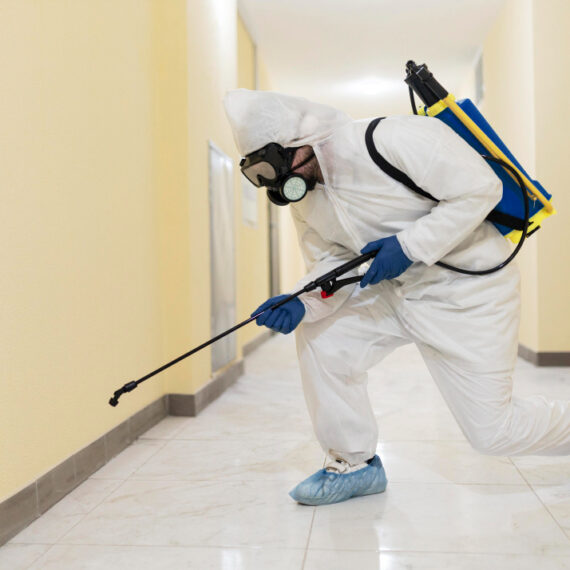 Cockroach Control 1