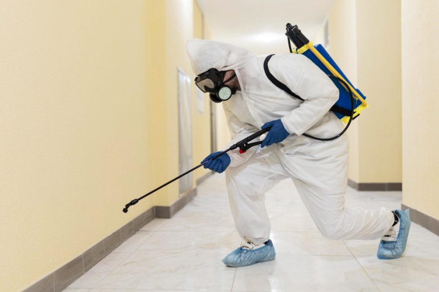 Cockroach Control 1