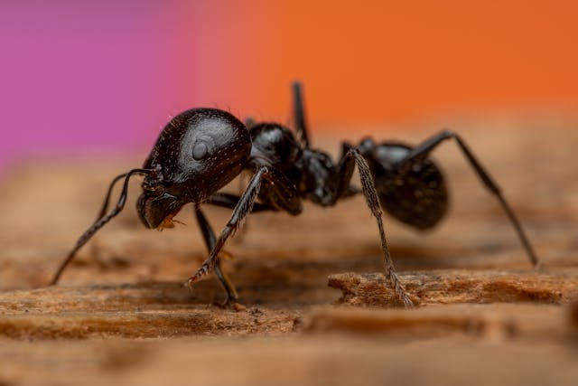 Common Areas Where Damage Occurs
