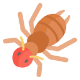 earwig-img.png