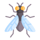 fly-img.png
