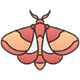 moth-img.png