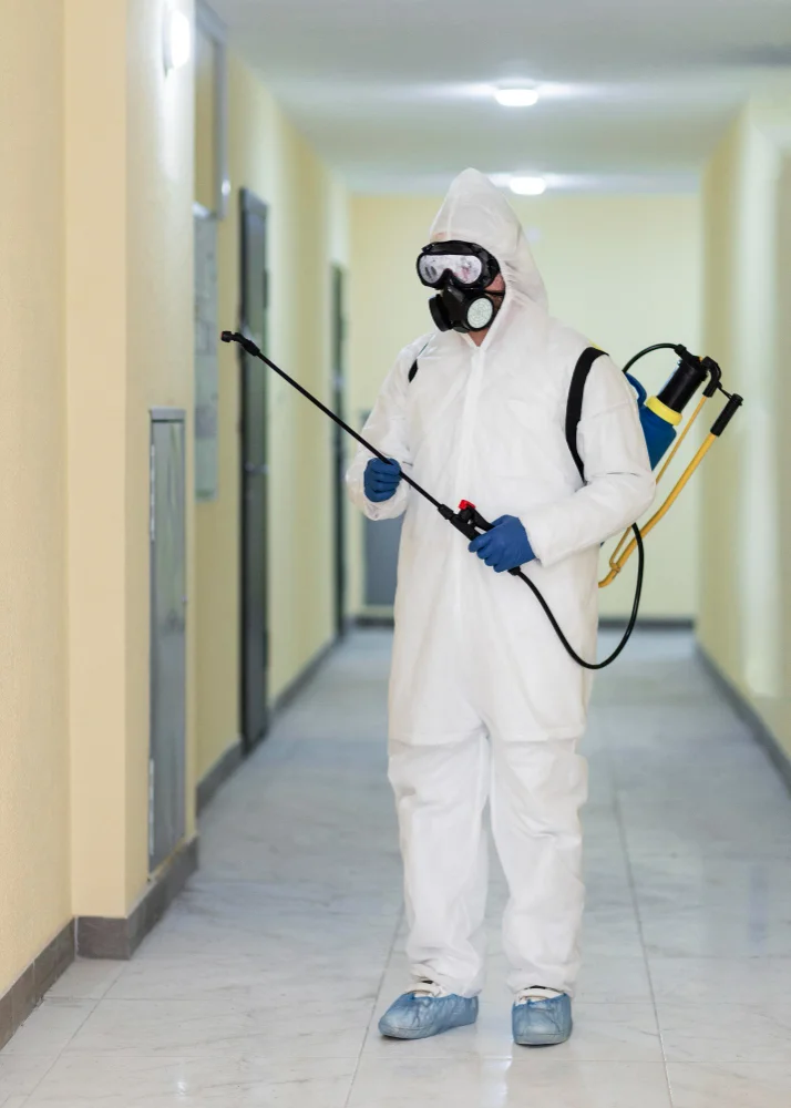 pest control