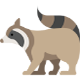 raccoon-img.png