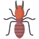soldier-termite-img.png