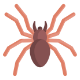 spider-img.png